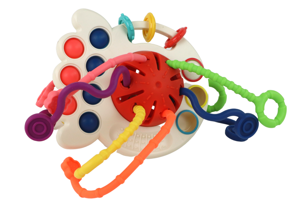 Educational Sensory Teether Toy